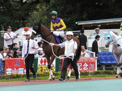 20140915 大井11R 東京記念 ユーロビート 13