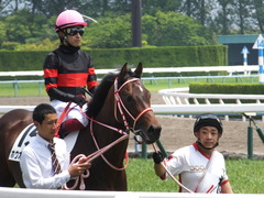 20170514 京都5R 3歳未勝利 ホウオウドリーム 23