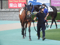 20181020 東京12R (1000) ノーモアゲーム 11