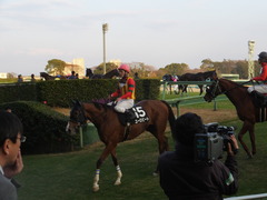 20131207 中山競馬場 ユーロビート 17
