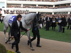 20141228 中山10R 有馬記念 ゴールドシップ 06