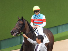 20150919 中山4R 3歳未勝利 ジュンコアー 13