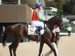 20180923 中山2R 2歳未勝利 マイネルハイボーン 12