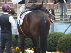 20180407 中山6R 3歳未勝利 エイカイオリンピア 09