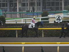 20141129 東京5R 2歳メイクデビュー タニオブキャップ 08
