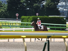 20140614 東京3R ダノンジャガー 14