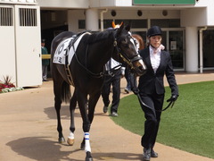 20160410 中山4R 3歳未勝利 ツボミ 05