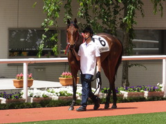 20170603 阪神3R 3歳未勝利 フェアチャイルド 08
