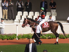 20170924 阪神11R 神戸新聞杯(G2) 3歳OP ホウオウドリーム 20