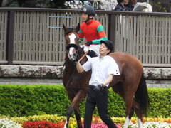 20170625 東京1R 3歳牝馬未勝利 プンメリン 23