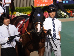 20160529 東京12R 目黒記念(G2) リヤンドファミユ 03
