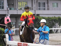 20170524 大井8R B2 マイネルグルマン 15