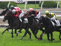 20170514 京都5R 3歳未勝利 ホウオウドリーム 25