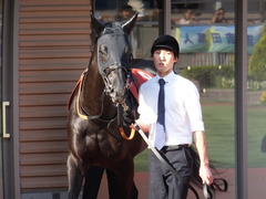 20140928 新潟11R オールカマー サトノノブレス 03