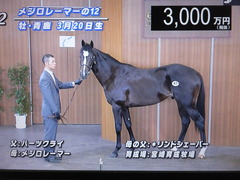 メジロレーマーの12・2