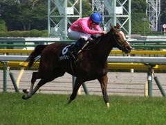 20160515 東京9R テレ玉杯(1000) ツクバアスナロ 23