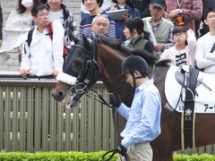 20160423 東京5R 3歳未勝利 アークアーセナル 06
