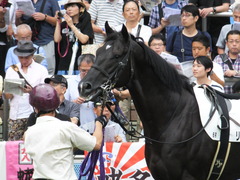 20160911 中山6R 2歳メイクデビュー リュクスワンダー 08