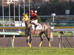 20121118 東京 1000万下のツボネちゃん 2