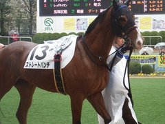20190303 中山6R 3歳未勝利 ストレートパンチ 12
