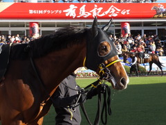 20161210 中山10R アクアラインS(1600) ノーモアゲーム 06