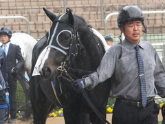 20150301 中山7R 3歳500万下 ファインライナー 04