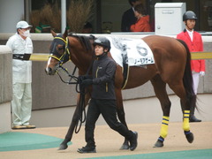 20190427 東京12R (1000) ノーモアゲーム 08