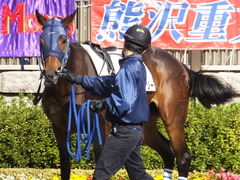 20141116 東京2R ウィンメアリー 04