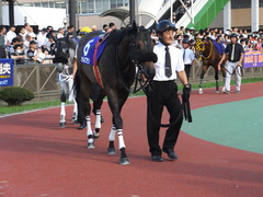 20150720 船橋11R 習志野きらっとS(S3) カベルネフラン 03