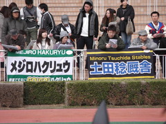 20130303 小倉競馬場 メジロハクリュウ