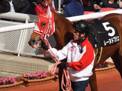 20170225 阪神9R 丹波特別(500) レーヌドブリエ 15
