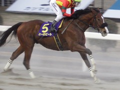 20180103 川崎11R 報知GC A1下 ユーロビート 23