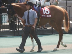 20190421 東京11R フローラS(G2) クラサーヴィツァ 02