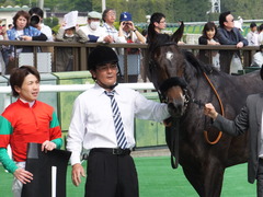 20160501 東京9R 陣馬特別(1000) マイネルサージュ 17