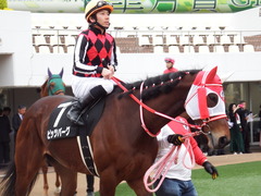20180415 中山9R 鹿野山特別(1000) ピッツバーグ 14