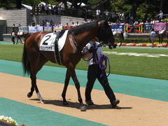 20140614 東京5R ジュンナカヤマ 04