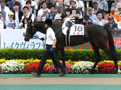 20160605 東京4R 3歳未勝利 ツボミ 10