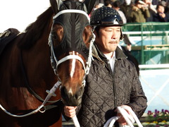 20171209 中山11R 師走S(OP) ショウナンアポロン 08