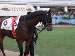20160111 中山12R 4歳上500万下 オウケンブラック 06