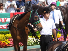 20160515 東京9R テレ玉杯(1000) ツクバアスナロ 06