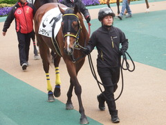 20190427 東京12R (1000) ノーモアゲーム 12