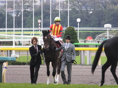 20131109 東京 モーリス 11