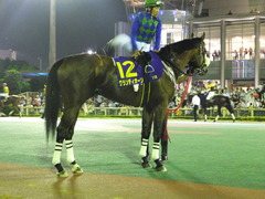 20150729 大井11R SAT(S3) グランディオーソ 06