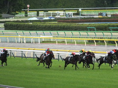 20140517東京9R オウケンブラック 13