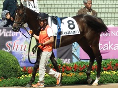 20180923 中山2R 2歳未勝利 マイネルハイボーン 05