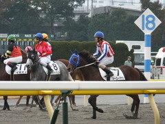 20141124 東京3R シーユーアゲン 14