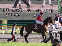 20121110 東京2