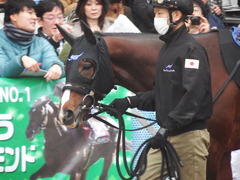 20181223 中山9R グッドラックHC ヴァントシルム 04