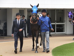20180407 中山3R 3歳未勝利 ラプターゲイル 09