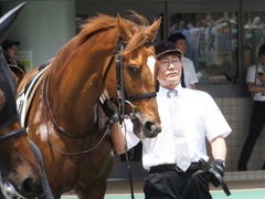20160604 東京3R 3歳未勝利 オートシャンティ 05